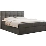 MKS Boxbett, RICO 160/200 Dunkelgrau Velvet - H3