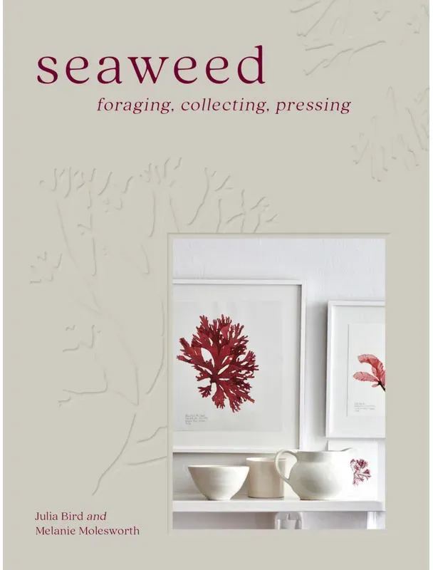 Seaweed - Melanie Molesworth  Julia Bird  Gebunden