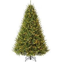 Evergreen Richmond Tanne Grün 228 cm