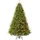 Evergreen Richmond Tanne Grün 228 cm