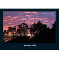 Vero Kalender Bäume 2026 Fotokalender DIN A4 von Tobias