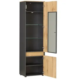 Möbel Kraft Vitrine Light Line 10 56 x 40 x 196 cm Holzfarben