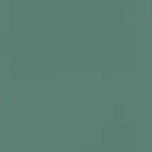 Rasch Textil Vliestapete 10,05 m x 0,53 m 1 St Grün 807615