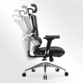 SIHOO Bürostuhl Schreibtischstuhl ergonomisch, Lordosenstütze hohe Rückenlehne 3D-Armlehnen gepolstert schwarz