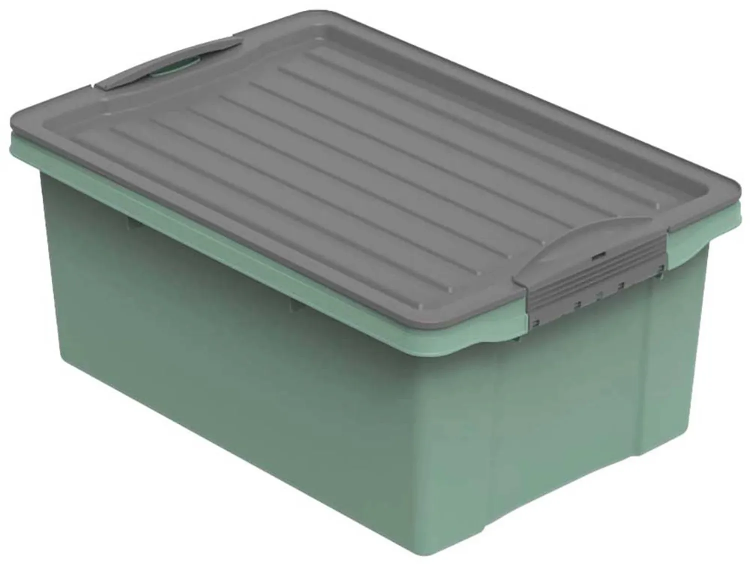 Preisvergleich Produktbild Rotho Stapelbox Compact A4 13 l Grün