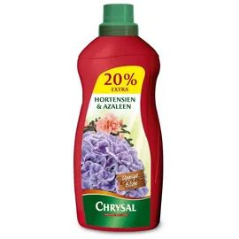 Chrysal Hortensien & Azaleen Flüssigdünger 1,2 l