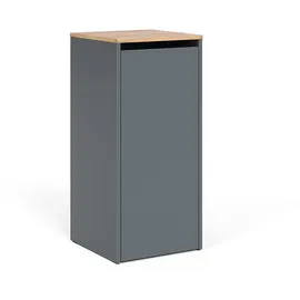 Vicco Viktor Badschrank 40,2 x 88,2 cm Anthrazit/Goldkraft Eiche