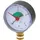 Sanicomfort Heizungsmanometer 3/8 Zoll 0-4 Bar Anschluss unten