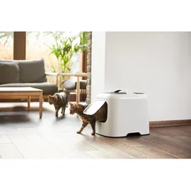 Rotho BIALA Katzentoilette