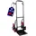 Proregal Treppensteiger Taurus 250 kg