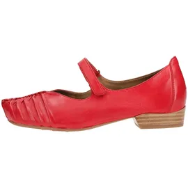 Everybody GALEGA rot EU