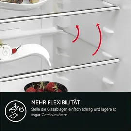 AEG TF5OS882ES Einbaukühlschrank (124 l, 880 mm hoch)