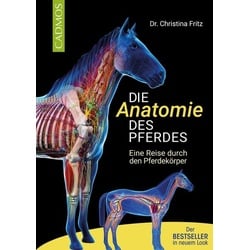 Die Anatomie des Pferdes