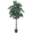 Europalms Bougainvillea, lavendel, 150cm