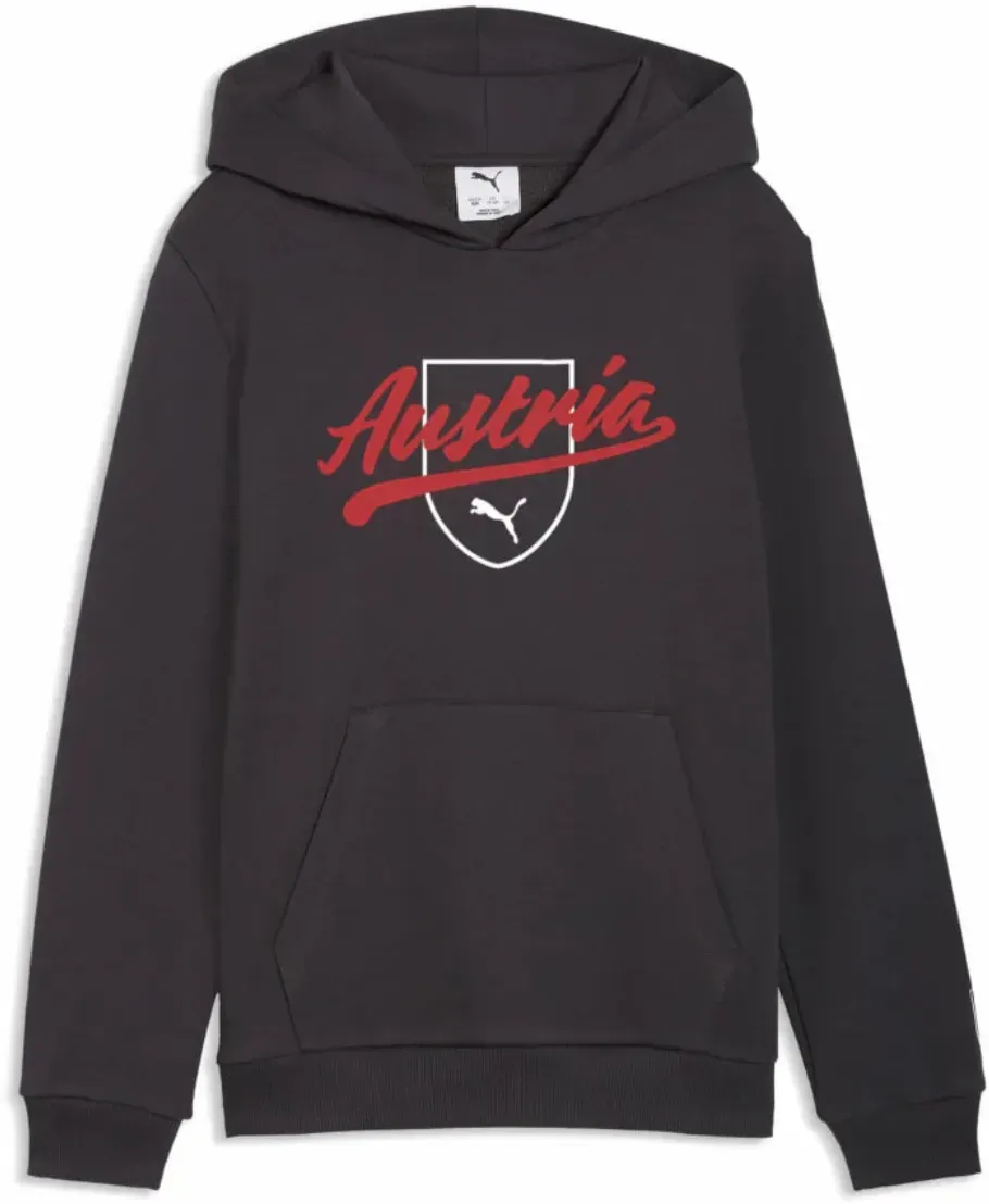 ÖFB Kinderpullover Culture Hoodie - grau / 116