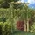 vidaXL Rosenbogen 150 x 60 x 204 cm Holz Imprägniert