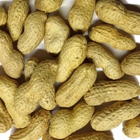 Versele Erdnüsse in der Schale 11,3 kg