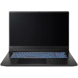 CAPTIVA Advanced Gaming I94-365GE 17,3'' Intel Core i7-13620H 32 GB RAM 1 TB SSD RTX 5070 ohne Betriebssystem