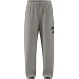 adidas Collegiate Jogginghose Wonder Alumina/Dark Blue M
