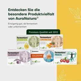 Pharmatura GmbH & Co. KG Fermentura Ginseng Duo Kapseln 30 St.