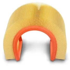 Mann-Filter Luftfilter C 3698/3-2