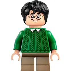 LEGO® - Harry Potter - hp475 - Harry Potter (76428)
