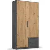 Rauch Drehtürenschrank StyleUp 91 x 197 x 54 cm graumetallic