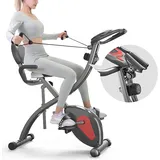 PROIRON Ergometer Heimtrainer Fahrrad Klappbar Indoor Cycling Bike, f bike, 2 in 1, Magnetron, 120kg belastbar, Einstellbarer Widerstand, Hometrainer