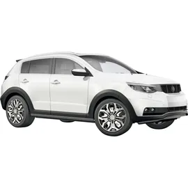 CARTREND Daytona 14 Zoll 4 Stück Schwarz/Silber