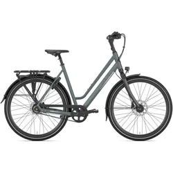 Gazelle Chamonix S8 Grün Modell 2025