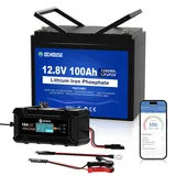 DCHOUSE 12V 100Ah LiFePO4 Lithium Batterie mit 10A Ladegerät, bis zu 15000 Deep Cycles für Schleppermotoren, Wohnmobile, Energiespeicher, Camper, Off-Grid