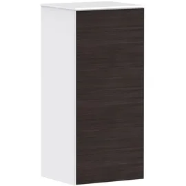 Hansgrohe Xevolos E Hängeschrank, 1 Tür, 54215730,