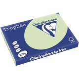 Clairefontaine Kopierpapier 1315C A3120g gn 250Bl