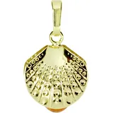 Ostsee-Schmuck Muschel Gelbgold 333
