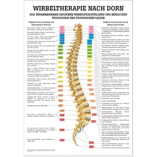 Wirbeltherapie nach Dorn Poster Anatomie 70x50 cm medizinische Lehrmittel, Nicht Laminiert