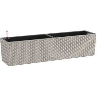 80 Komplettset 80 x 19 x 19 cm sandbraun