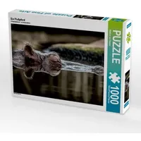 Calvendo Ein Flußpferd (Puzzle)