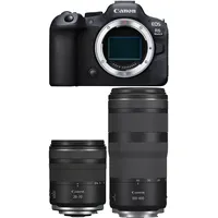 Canon EOS R6 Mark II + RF 70-200mm f/4 L IS USM
