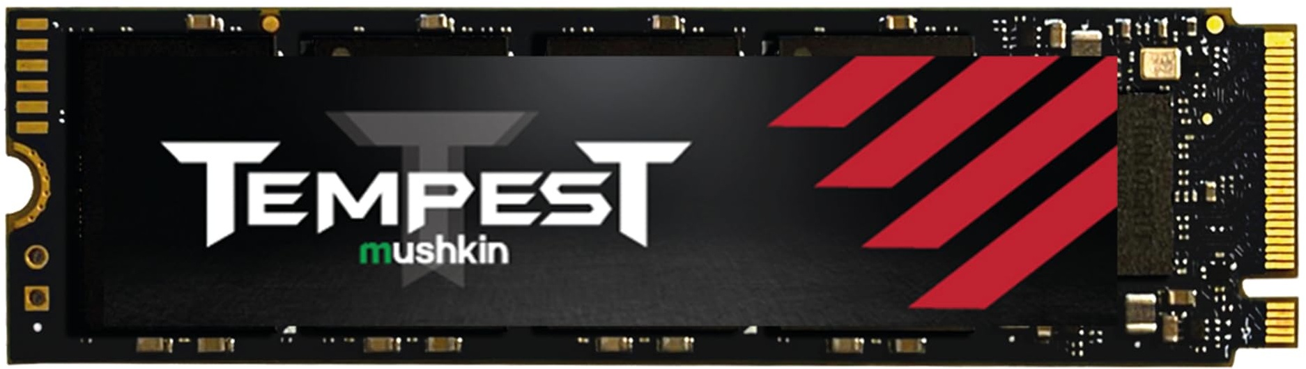 Mushkin Interne SSD Tempest M.2 1TB 3300/2900 PCIe Gen3x4 Internal solid state drives