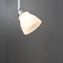 Paulmann DecoSystems Wolbi Glas