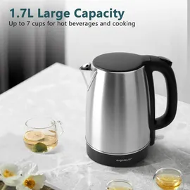 Aigostar 1,7 l Schwarz