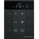 Busch-Jaeger SBR-F-6.0.11-885 Raumthermostat 6-fach schwarz matt
