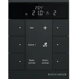 Busch-Jaeger SBR-F-6.0.11-885 Raumthermostat 6-fach schwarz matt