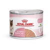 Mother & Babycat Mousse Nassfutter Katzen