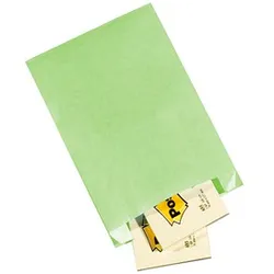 100 VP Faltenbeutel hellgrün 20,0 x 32,0 cm