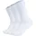 Camp David Socken 3er Pack Weiß 39-42