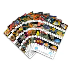 Dive Sticker Philippinen