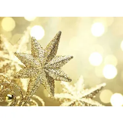 Tischsets | Platzsets – Weihnachten - Goldener Glitzerstern - 12 Stück aus Premium Papier - Die besondere Tischdekoration für die Weihnachtszeit