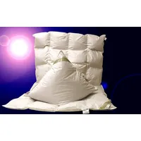 Betten Hofmann Set Kassetten Daunendecke 4x6 135x200 cm + Kissen 80x80 cm