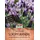 Sperli Schopflavendelsamen Kronjuwel Lavandula stoechas 45 Pflanzen
